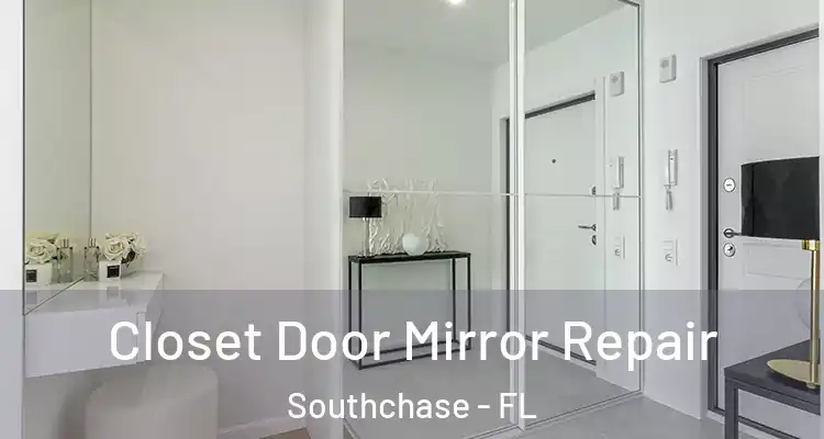  Closet Door Mirror Repair Southchase - FL
