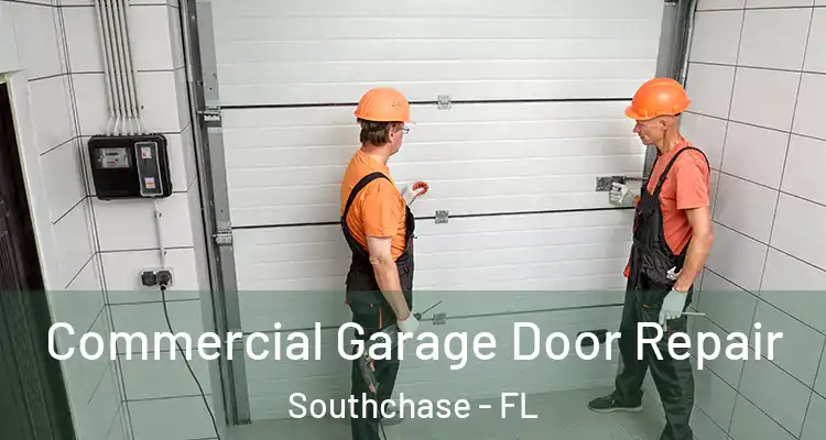  Commercial Garage Door Repair Southchase - FL