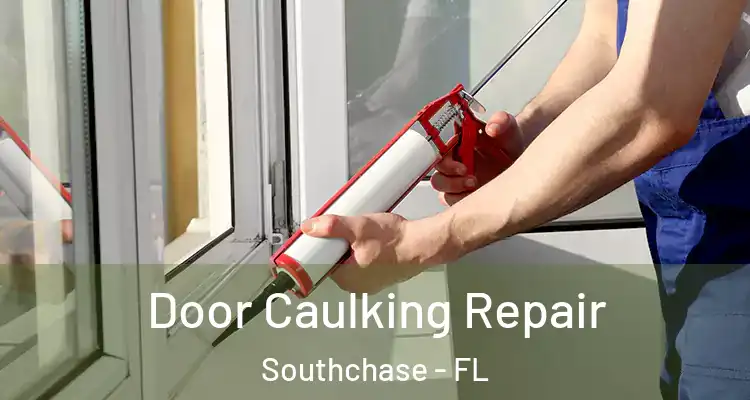  Door Caulking Repair Southchase - FL