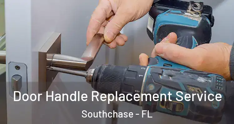  Door Handle Replacement Service Southchase - FL
