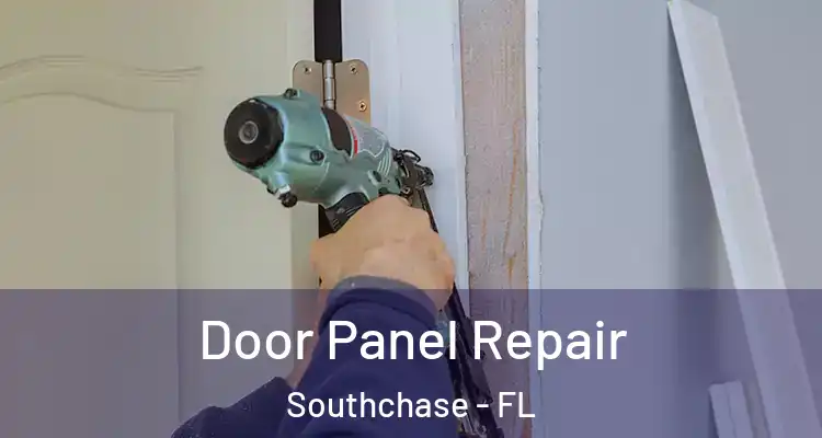  Door Panel Repair Southchase - FL
