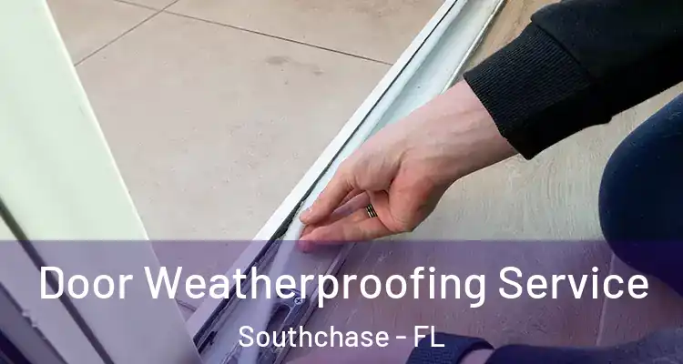  Door Weatherproofing Service Southchase - FL
