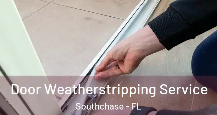  Door Weatherstripping Service Southchase - FL
