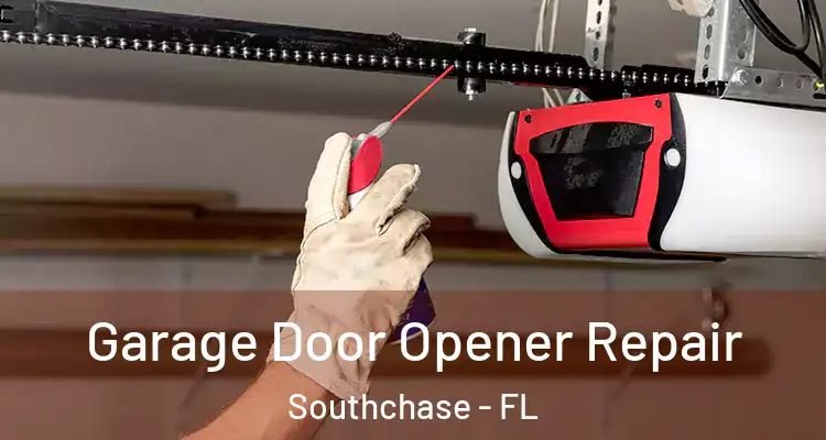  Garage Door Opener Repair Southchase - FL