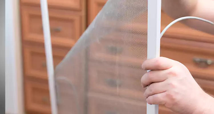 Privacy Mesh Screen Door Installation in Southchase, FL