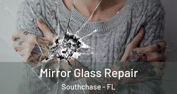  Mirror Glass Repair Southchase - FL