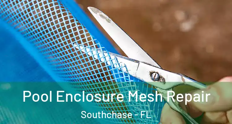  Pool Enclosure Mesh Repair Southchase - FL
