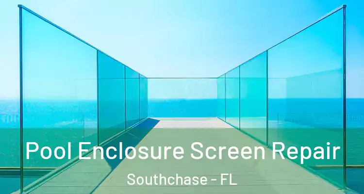  Pool Enclosure Screen Repair Southchase - FL